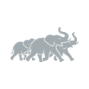 Aggressive elephant herd — GoviNet real-time wildlife danger alert